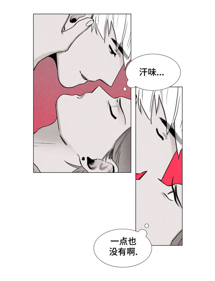 《落幕》漫画最新章节第5章委托免费下拉式在线观看章节第【3】张图片