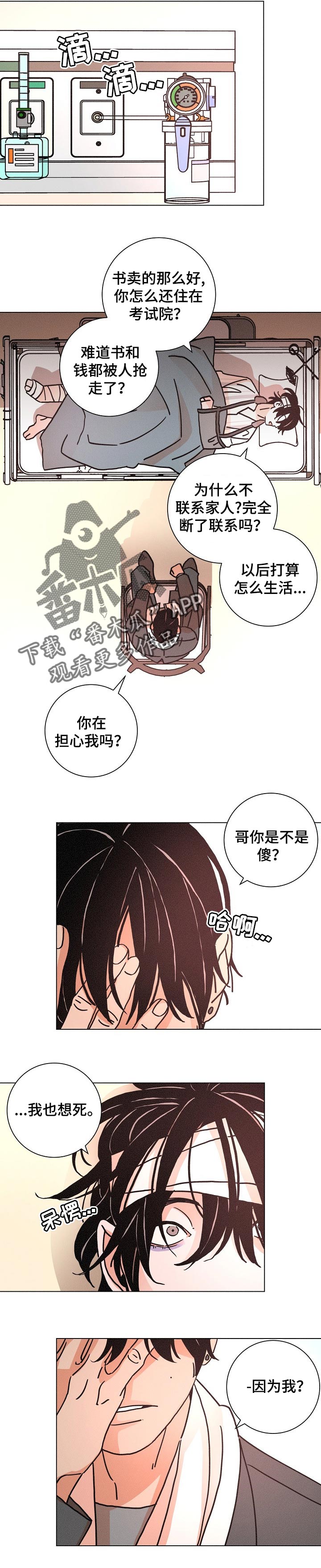 《困局逃脱》漫画最新章节第116章我不正常免费下拉式在线观看章节第【9】张图片