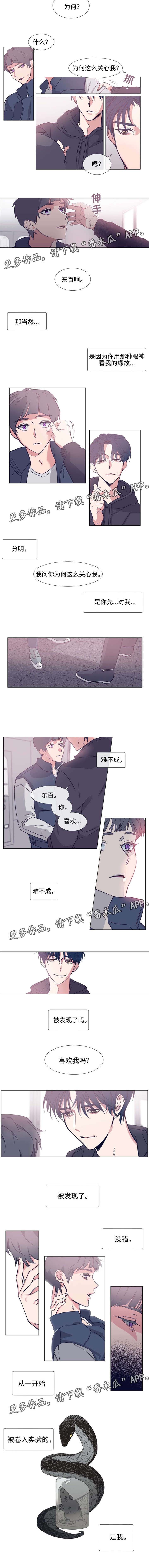 《白水仙》漫画最新章节第66章花心免费下拉式在线观看章节第【1】张图片