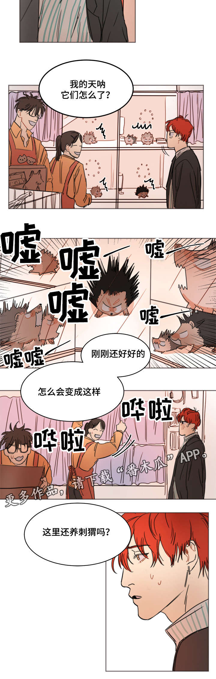 《单独尺码》漫画最新章节第7章刺猬免费下拉式在线观看章节第【4】张图片