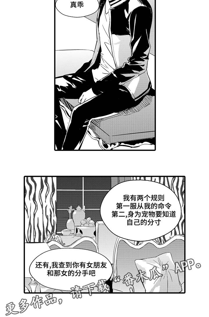 《固执探寻》漫画最新章节第8章宠物免费下拉式在线观看章节第【10】张图片