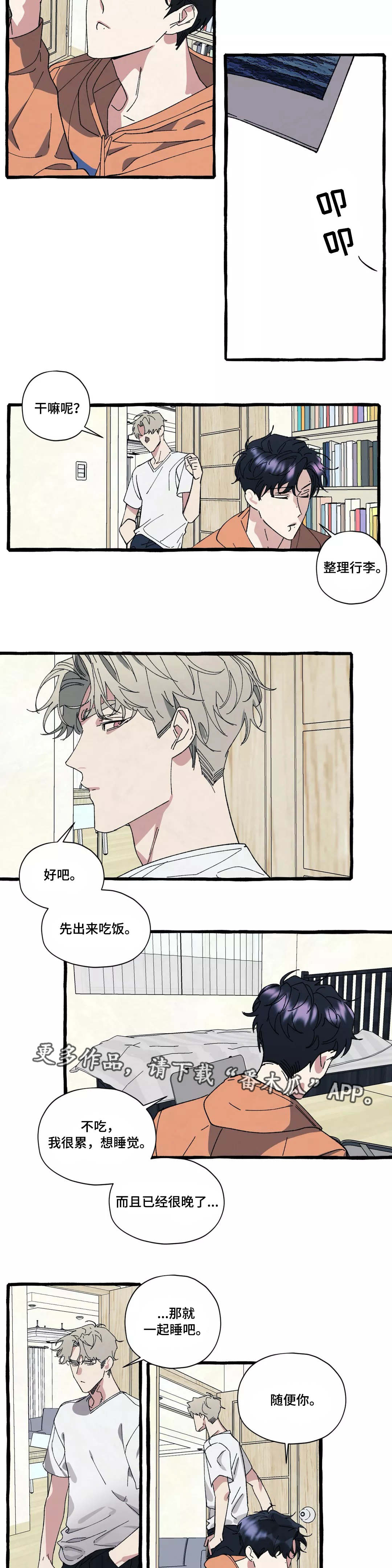 《隐藏》漫画最新章节第33章回国免费下拉式在线观看章节第【2】张图片