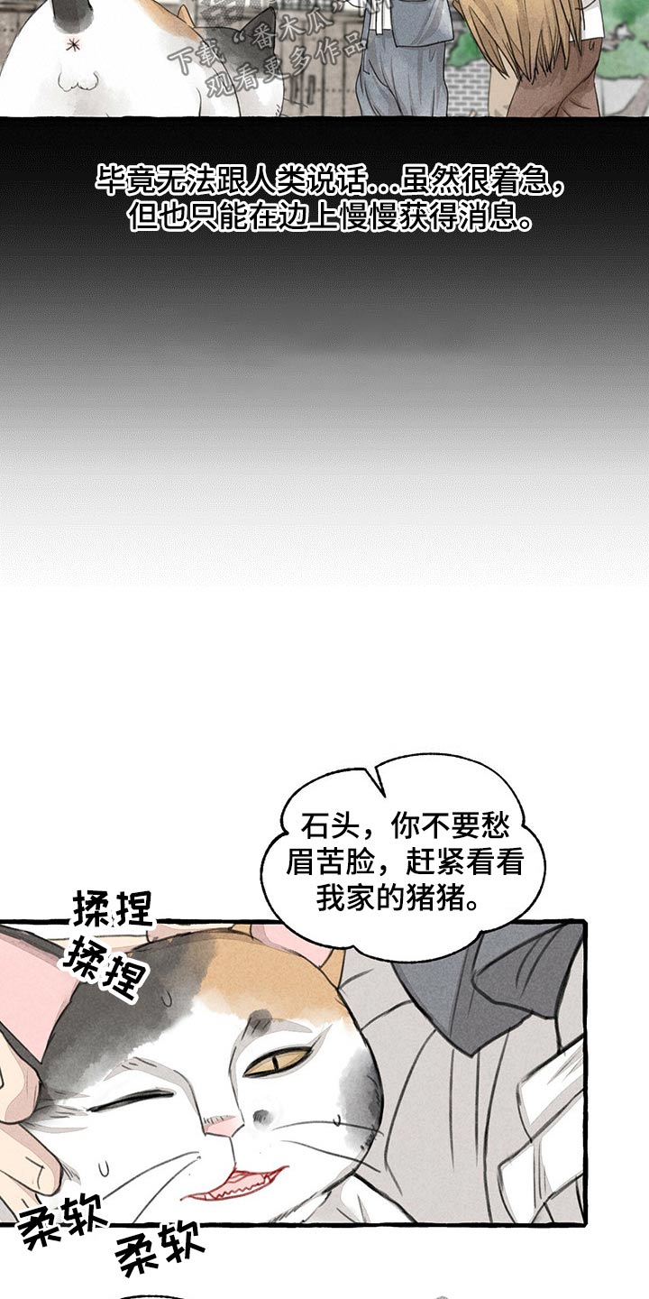 《冒险秘密》漫画最新章节第128章猫咪免费下拉式在线观看章节第【10】张图片