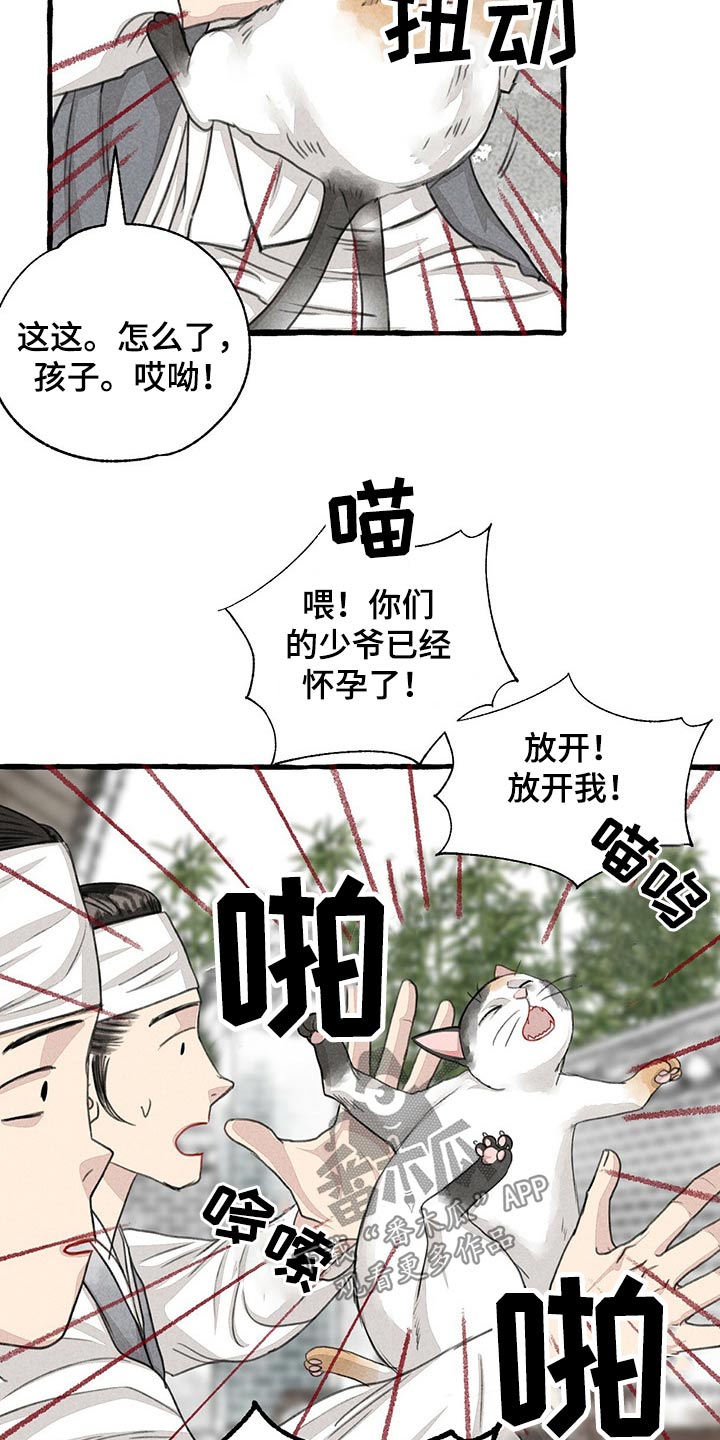 《冒险秘密》漫画最新章节第128章猫咪免费下拉式在线观看章节第【4】张图片