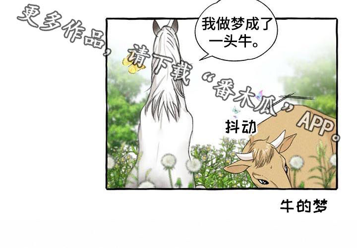 《冒险秘密》漫画最新章节第83章停下免费下拉式在线观看章节第【1】张图片