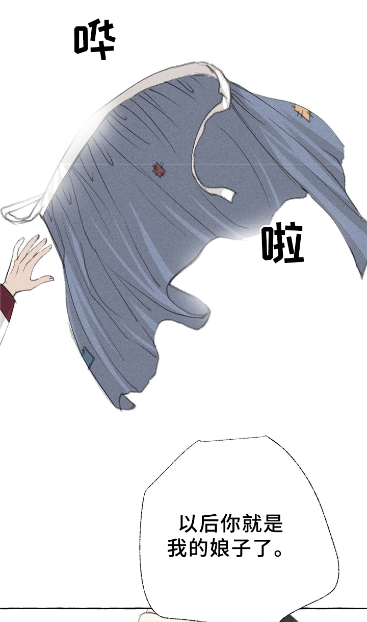 《冒险秘密》漫画最新章节第32章娘子?!免费下拉式在线观看章节第【18】张图片