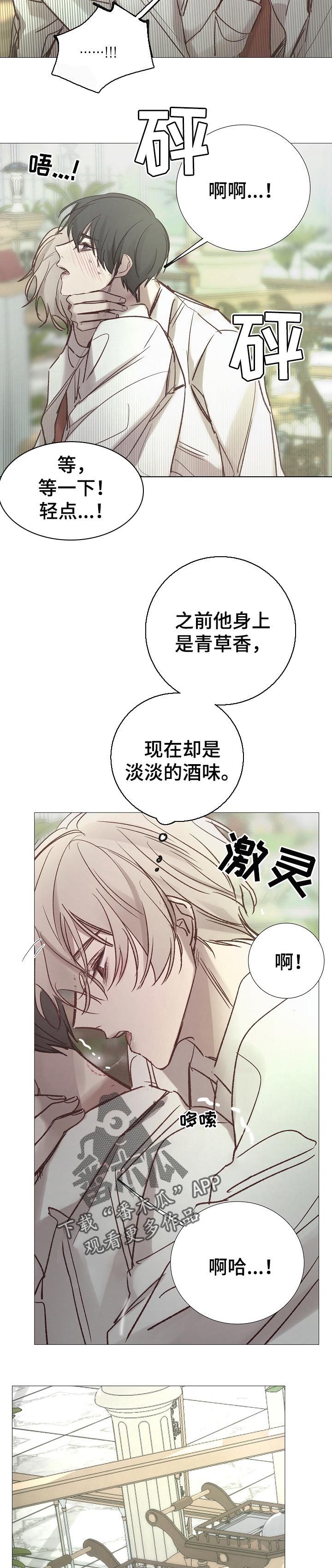 《冰凉的居所》漫画最新章节第161章好像喜欢你免费下拉式在线观看章节第【5】张图片