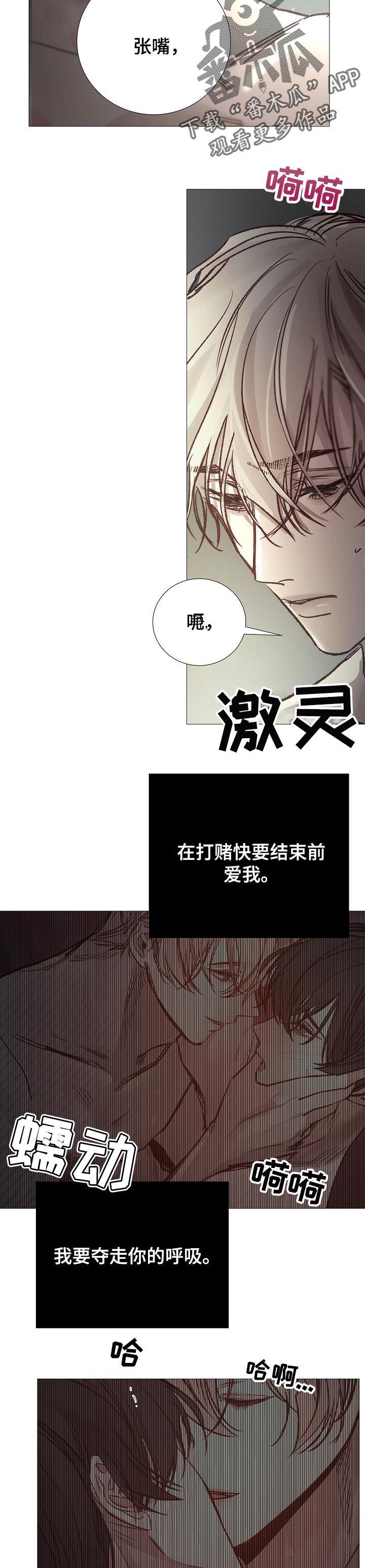 《冰凉的居所》漫画最新章节第154章没看见免费下拉式在线观看章节第【6】张图片