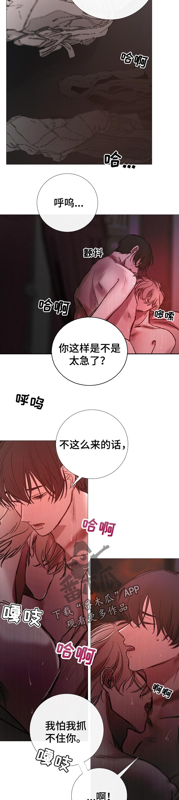 《冰凉的居所》漫画最新章节第152章机密免费下拉式在线观看章节第【7】张图片