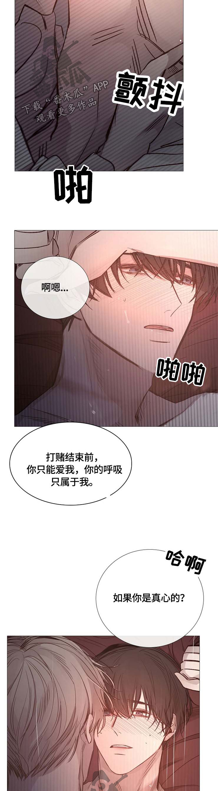 《冰凉的居所》漫画最新章节第111章叫我的名字免费下拉式在线观看章节第【5】张图片