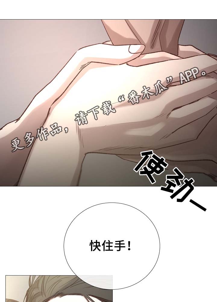 《冰凉的居所》漫画最新章节第90章聚会的目的免费下拉式在线观看章节第【26】张图片