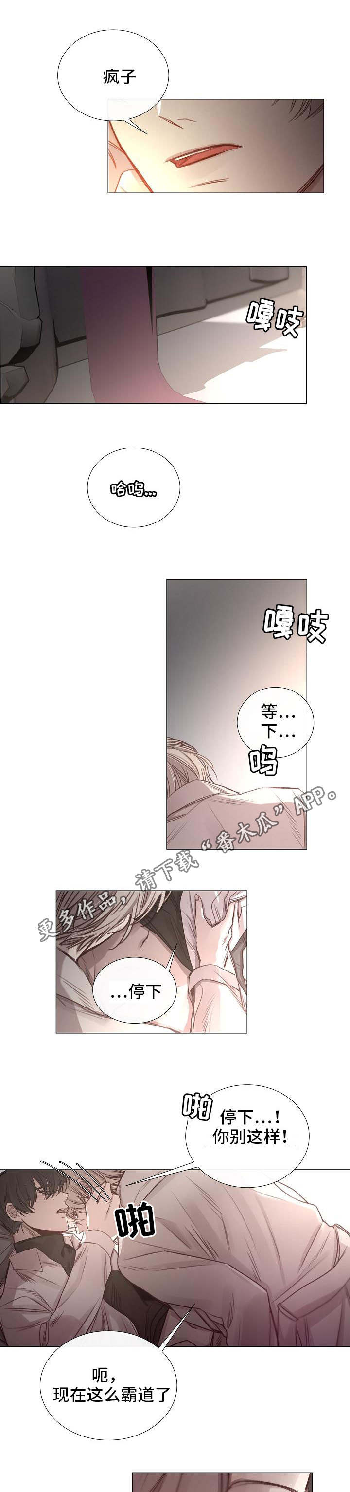 《冰凉的居所》漫画最新章节第54章一手策划免费下拉式在线观看章节第【5】张图片