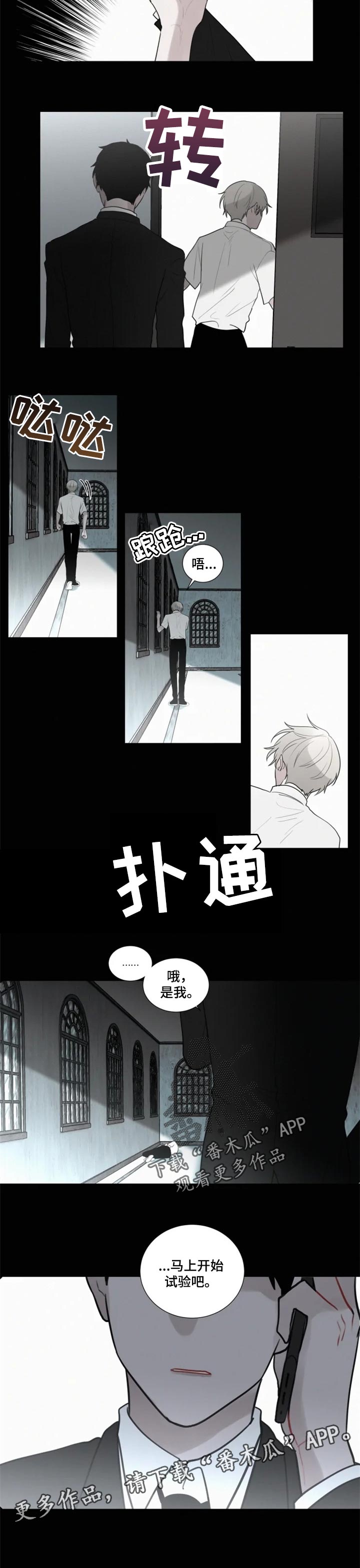 《致命供养》漫画最新章节第100章【第二季】开始实验免费下拉式在线观看章节第【1】张图片