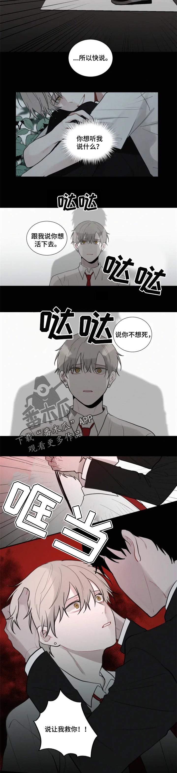 《致命供养》漫画最新章节第100章【第二季】开始实验免费下拉式在线观看章节第【3】张图片