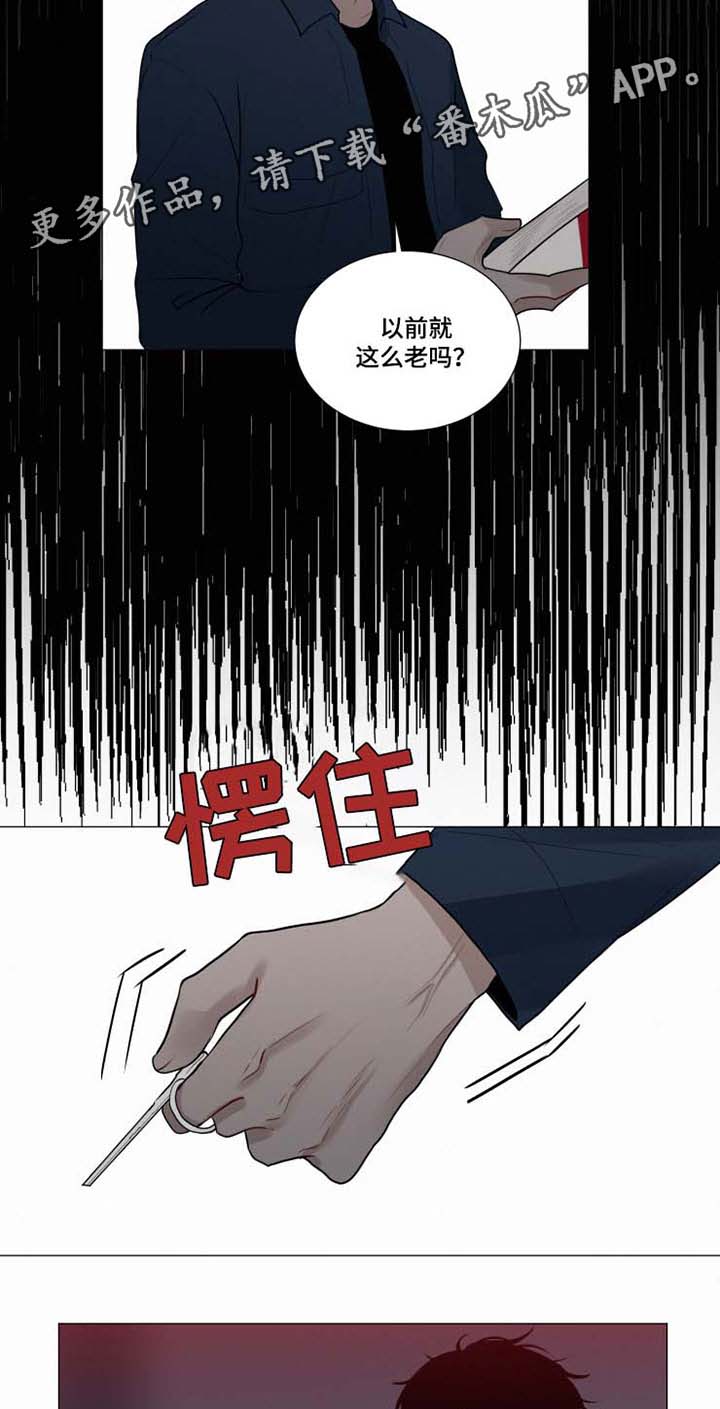 《致命供养》漫画最新章节第37章化为乌有的瞬间免费下拉式在线观看章节第【6】张图片