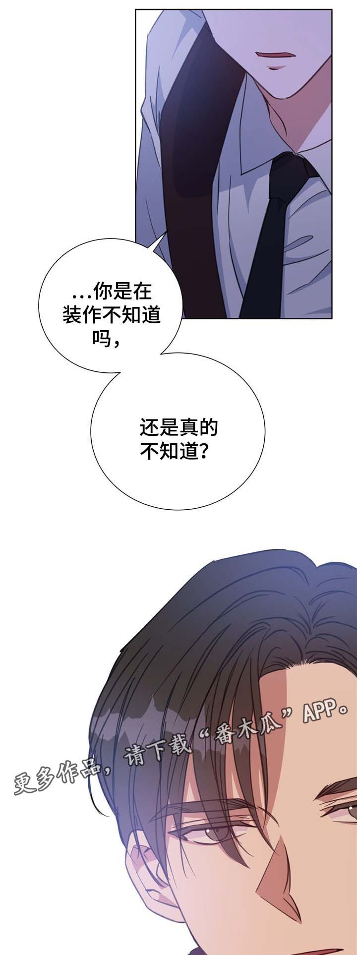 《危险合作》漫画最新章节第76章真心话免费下拉式在线观看章节第【9】张图片