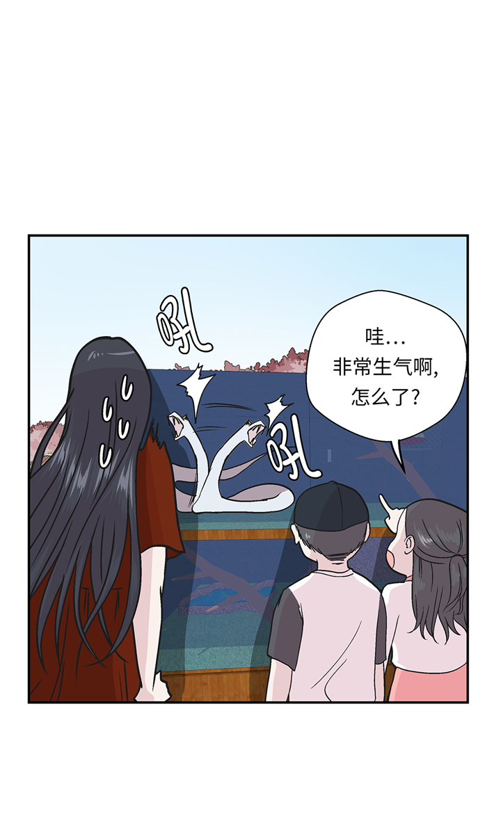 《奇妙的动物高中》漫画最新章节第95章大结局免费下拉式在线观看章节第【27】张图片