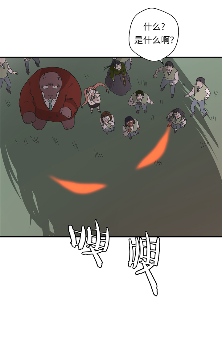 《奇妙的动物高中》漫画最新章节第86章龙现真身免费下拉式在线观看章节第【3】张图片