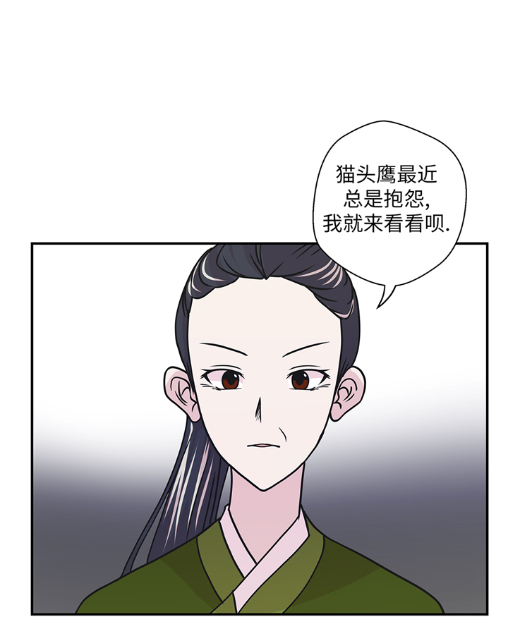 《奇妙的动物高中》漫画最新章节第77章庆典前夕免费下拉式在线观看章节第【36】张图片