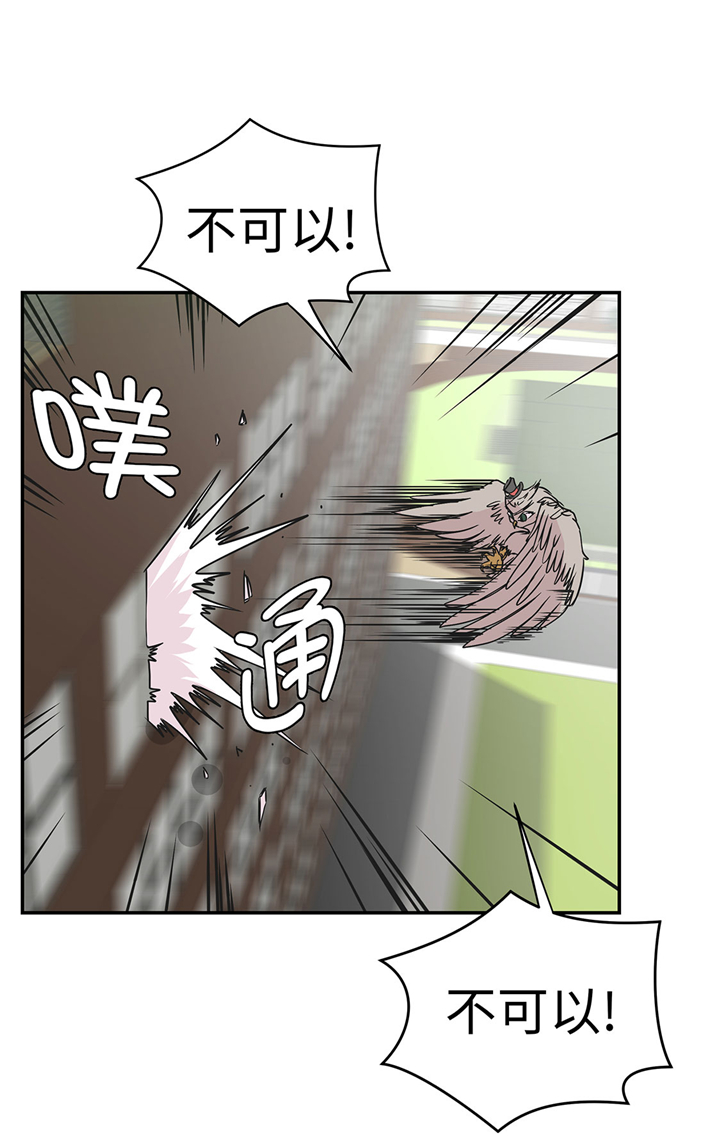 《奇妙的动物高中》漫画最新章节第66章快下来免费下拉式在线观看章节第【16】张图片