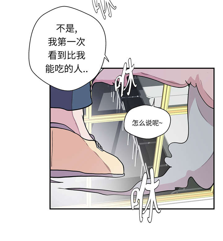 《奇妙的动物高中》漫画最新章节第26章爱你免费下拉式在线观看章节第【11】张图片