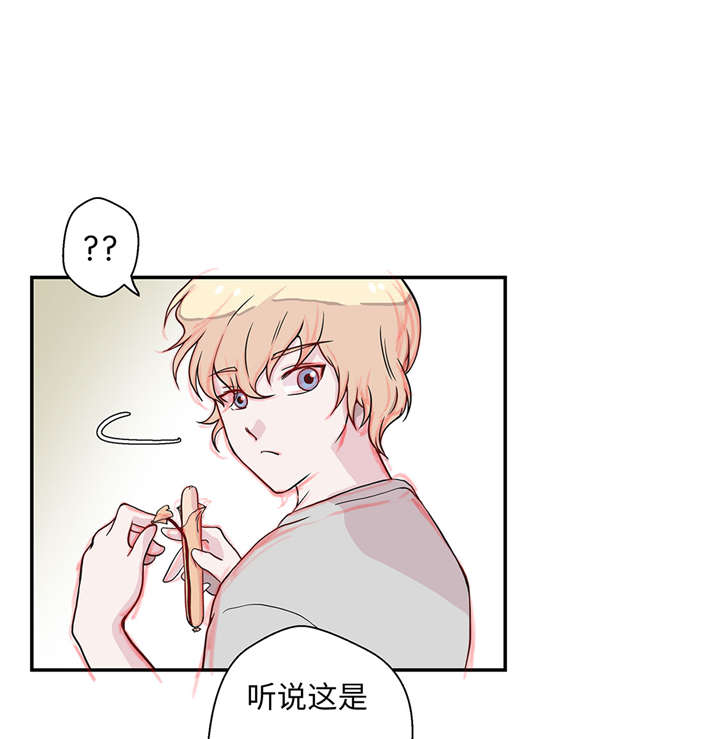 《奇妙的动物高中》漫画最新章节第20章漂亮的名字免费下拉式在线观看章节第【31】张图片