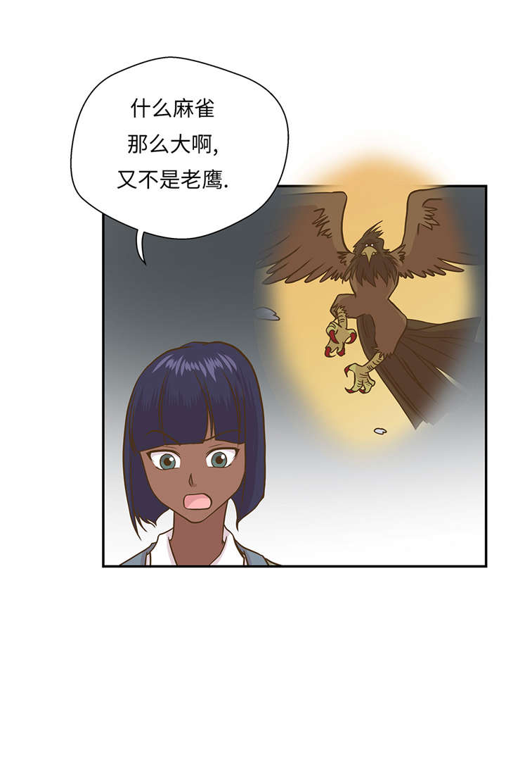 《奇妙的动物高中》漫画最新章节第16章狮子莱昂免费下拉式在线观看章节第【11】张图片