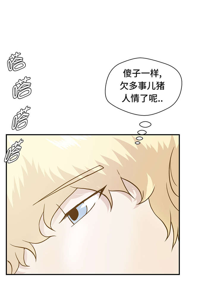 《奇妙的动物高中》漫画最新章节第13章惹事猪免费下拉式在线观看章节第【6】张图片