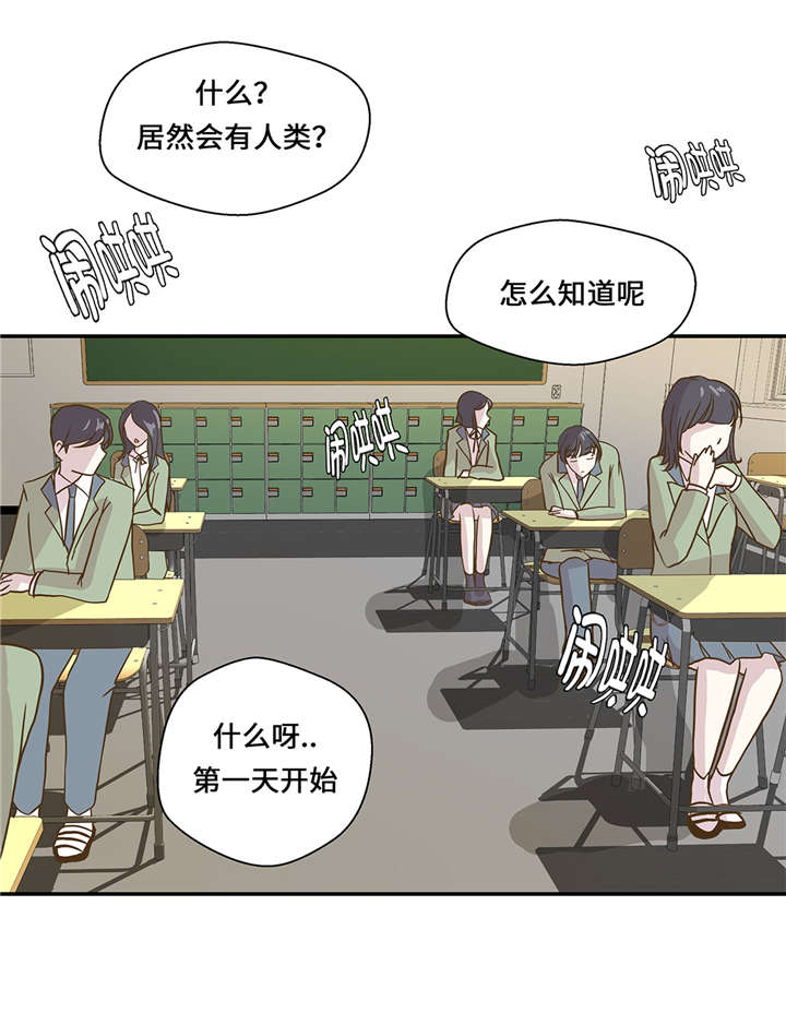 《奇妙的动物高中》漫画最新章节第8章展示能力吧(上)免费下拉式在线观看章节第【3】张图片