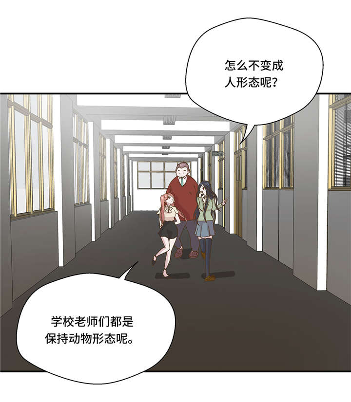 《奇妙的动物高中》漫画最新章节第6章被龙选中的人(上)免费下拉式在线观看章节第【15】张图片