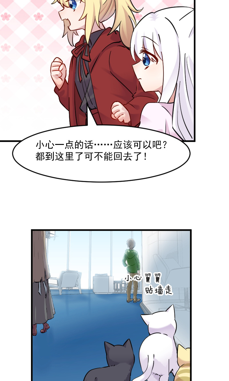 《救命，我的男票是妖怪》漫画最新章节第125章总裁的爱猫之心免费下拉式在线观看章节第【20】张图片