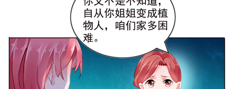 《宠婚来袭》漫画最新章节第3章我们离婚吧免费下拉式在线观看章节第【82】张图片