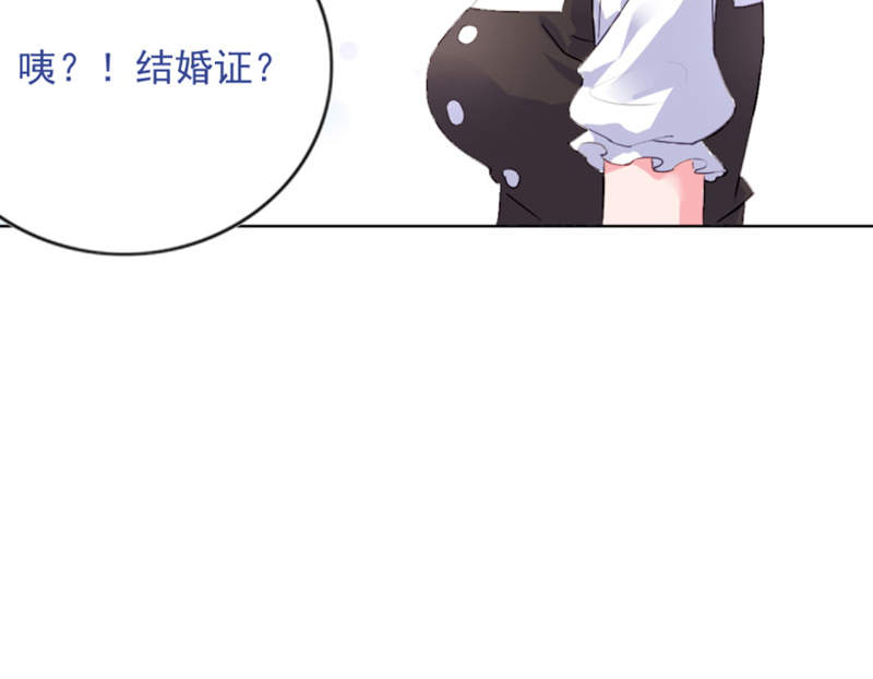 《宠婚来袭》漫画最新章节第2章结婚证免费下拉式在线观看章节第【25】张图片