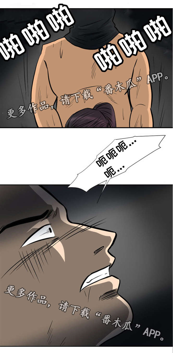 《替代者们》漫画最新章节第10章拜访夫人免费下拉式在线观看章节第【5】张图片