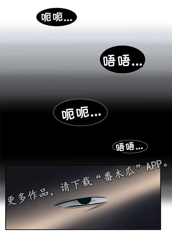 《替代者们》漫画最新章节第10章拜访夫人免费下拉式在线观看章节第【10】张图片