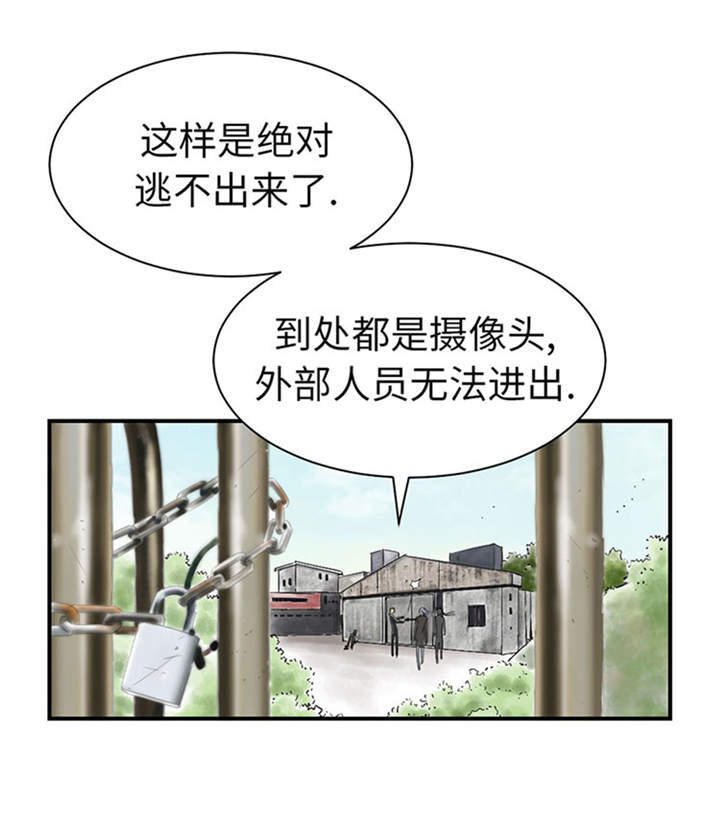 《都市兽种》漫画最新章节第72章是狐狸？免费下拉式在线观看章节第【19】张图片