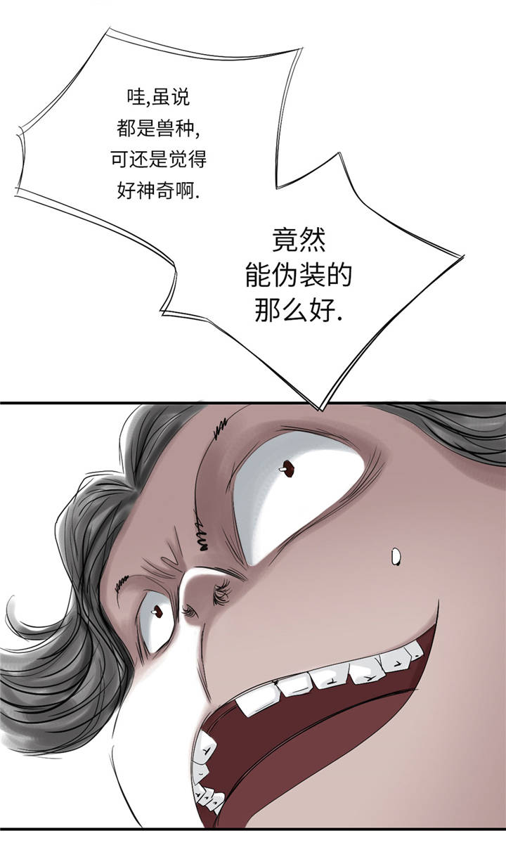 《都市兽种》漫画最新章节第37章赌上警察生涯免费下拉式在线观看章节第【19】张图片