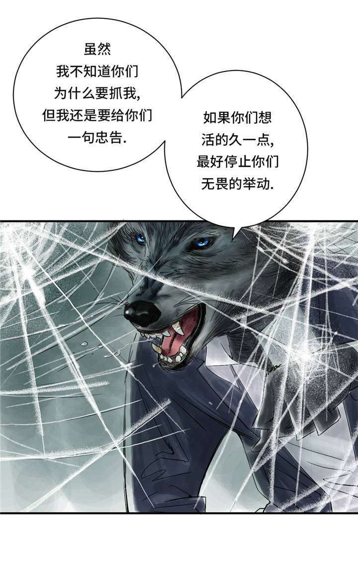 《都市兽种》漫画最新章节第37章赌上警察生涯免费下拉式在线观看章节第【7】张图片