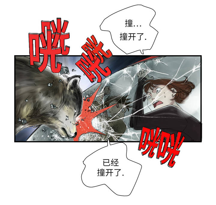 《都市兽种》漫画最新章节第37章赌上警察生涯免费下拉式在线观看章节第【17】张图片