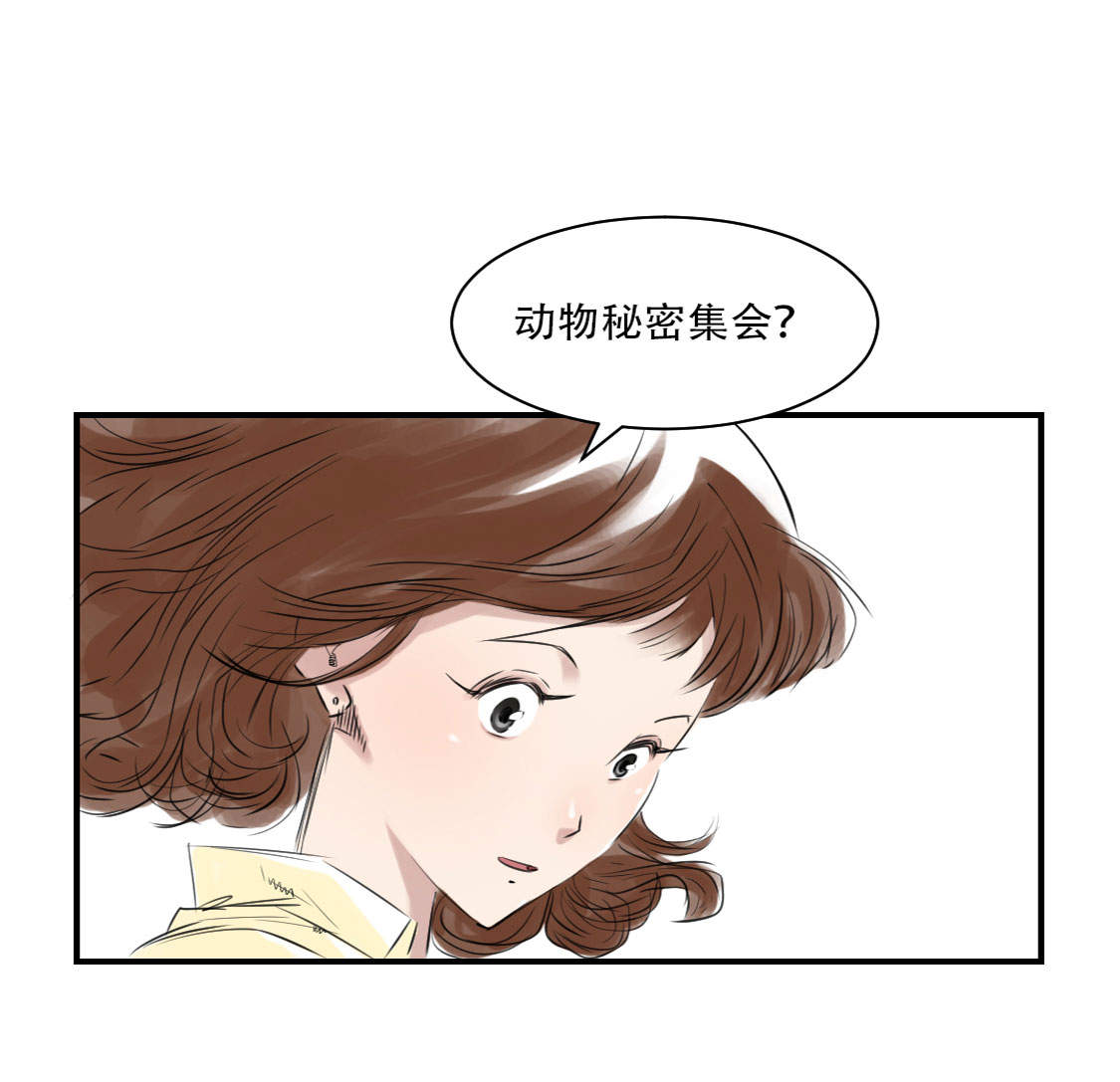 《都市兽种》漫画最新章节第10章消失的动物免费下拉式在线观看章节第【39】张图片