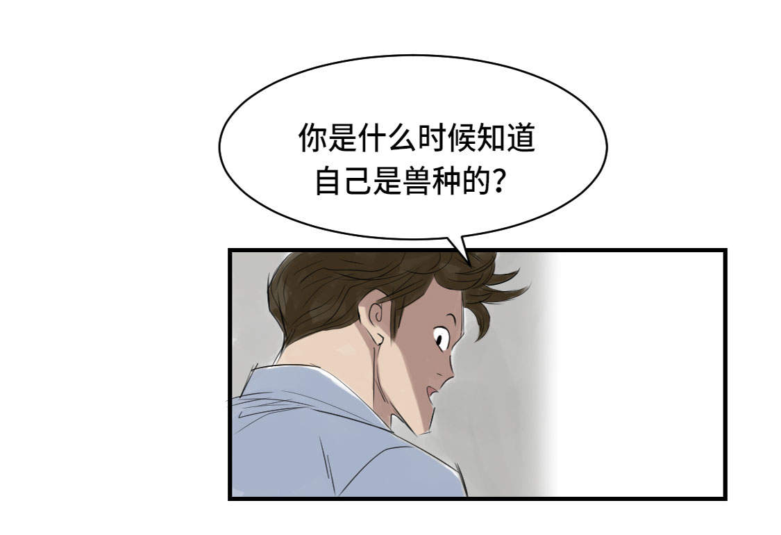 《都市兽种》漫画最新章节第4章兽种伴免费下拉式在线观看章节第【4】张图片