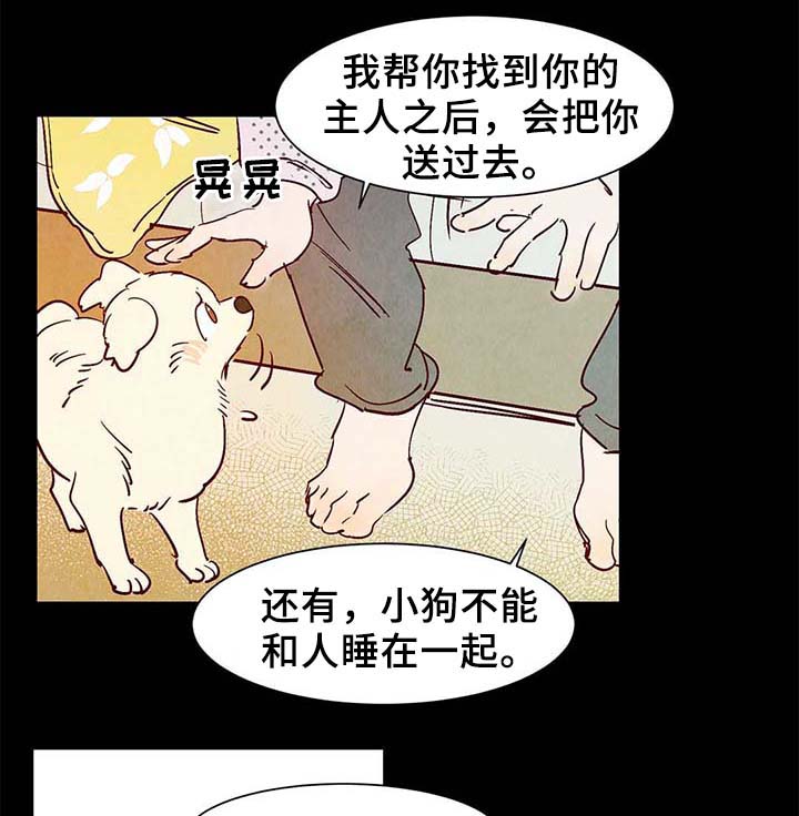 《寻鳞之旅》漫画最新章节第40章老幺的故事免费下拉式在线观看章节第【11】张图片