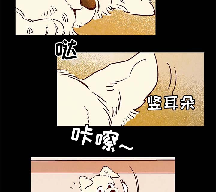 《寻鳞之旅》漫画最新章节第40章老幺的故事免费下拉式在线观看章节第【17】张图片