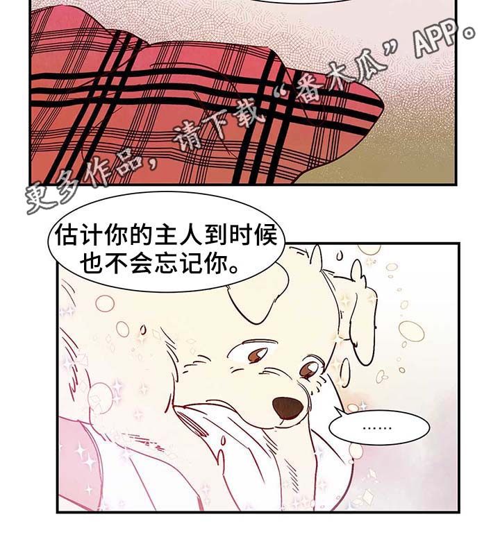 《寻鳞之旅》漫画最新章节第40章老幺的故事免费下拉式在线观看章节第【3】张图片