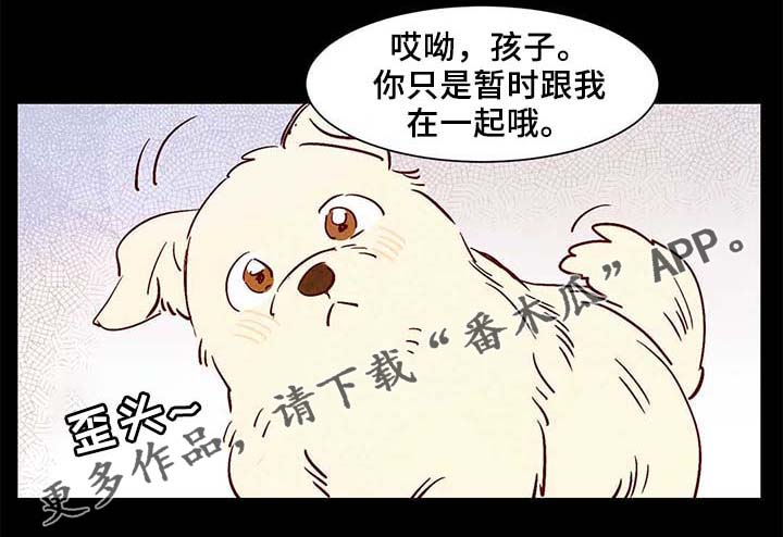 《寻鳞之旅》漫画最新章节第40章老幺的故事免费下拉式在线观看章节第【12】张图片