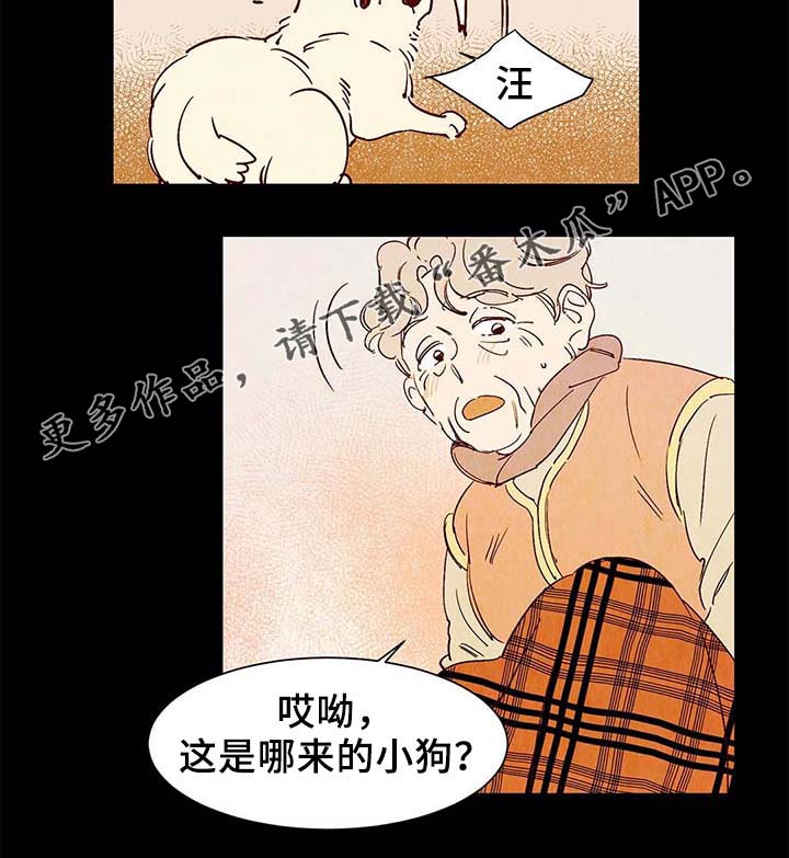 《寻鳞之旅》漫画最新章节第40章老幺的故事免费下拉式在线观看章节第【16】张图片