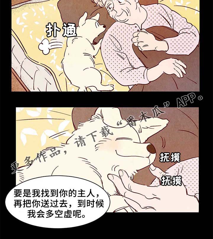 《寻鳞之旅》漫画最新章节第40章老幺的故事免费下拉式在线观看章节第【9】张图片