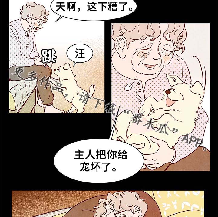 《寻鳞之旅》漫画最新章节第40章老幺的故事免费下拉式在线观看章节第【10】张图片