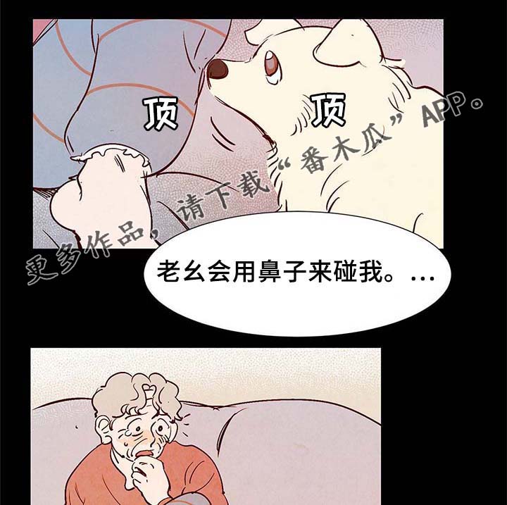 《寻鳞之旅》漫画最新章节第37章灵魂召唤免费下拉式在线观看章节第【15】张图片