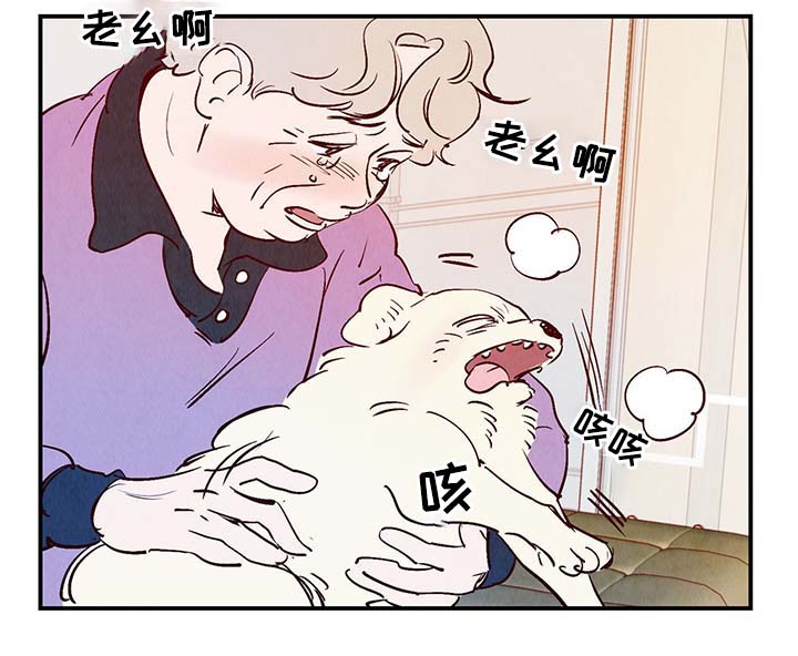 《寻鳞之旅》漫画最新章节第35章老幺免费下拉式在线观看章节第【25】张图片